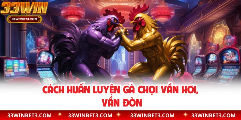 Cách huấn luyện gà chọi vần hơi, vần đòn